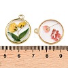 Alloy Epoxy Resin Pendants FIND-Z114-01G-04-3