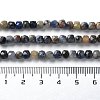 Natural Sodalite Beads Strands G-J400-A10-03-5