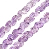 Natural Amethyst Beads Strands G-Z152-B01-01-2