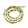 Natural Green Garnet Beads Strands G-P457-B01-07-3