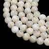 Natural White Moonstone Beads Strands G-L664-A01-8mm-3