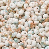 Baking Paint Glass Seed Beads X1-SEED-F006-01A-12-3