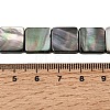 Natural Black Lip Shell Beads Strands SHEL-A006-09B-4