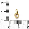 Brass Micro Pave Cubic Zirconia Charms KK-P295-14G-01-3