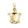 Rack Plating Brass Micro Pave Cubic Zirconia Pendants KK-C021-01G-02-2