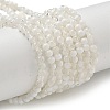 Crackle Glass Beads X1-GLAA-U001-4mm-07-1