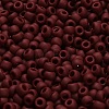TOHO 6/0 Round Beads X-SEED-TR06-0046F-4