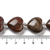 Natural Petrified Wood Beads Strands G-C150-A08-01-5