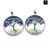 Natural Lapis Lazuli Pendants PW-WGDCF81-05-1