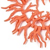 Opaque Acrylic Imitation Coral Beads Strands SACR-P033-02A-08-2