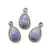 304 Stainless Steel Pave Natural Blue Lace Agate Teardrop Charms STAS-B074-04P-02-1