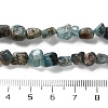 Natural Green Kyanite Beads Strands G-P497-01C-56-5