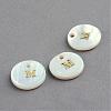 Freshwater Shell Pendants SSHEL-S249-M-1