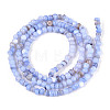 Natural Freshwater Shell Dyed Beads Strands SHEL-T020-29B-3
