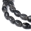 Natural Black Larvikite Beads Strands G-Z006-A03-2