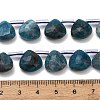 Natural Apatite Beads Strands G-C292-A06-01-4
