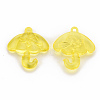 Transparent Acrylic Pendants TACR-T024-01B-916-2