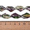 Handmade Lampwork Beads Strands LA-N046-02C-4
