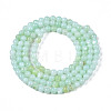 Natural Freshwater Shell Beads Strands X-BSHE-T009A-01D-2