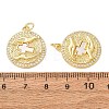 Brass Micro Pave Clear Cubic Zirconia Pendants KK-CBADE12-02C-G-3