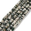 Natural Tree Agate Beads Strands G-NH0062-A02-01-2
