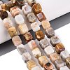 Natural Crazy Agate Beads Strands G-Q608-10B-1