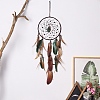 Woven Web/Net with Feather Wall Hanging Decorations PW-WG39195-02-1