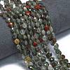 Natural African Bloodstone Beads Strands G-K389-B64-01-2