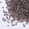 8/0 Glass Seed Beads X2-SEED-A005-3mm-56-2