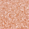 MIYUKI Delica Beads SEED-JP0008-DB0824-3