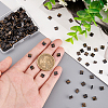   240Pcs 2-Hole Glass Seed Beads SEED-PH0001-75-3