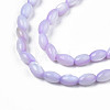 Natural Freshwater Shell Beads Strands X-SHEL-N003-25-B04-3
