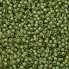 TOHO Round Seed Beads SEED-JPTR11-0946FM-2