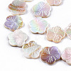 Electroplated Natural Freshwater Shell Beads Strands X-SHEL-N026-203B-01-3