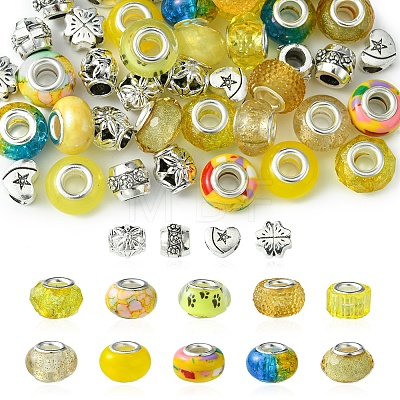DIY Tibetan Style Alloy & Resin European Beads Making Finding Kits DIY-FS0006-78B-1
