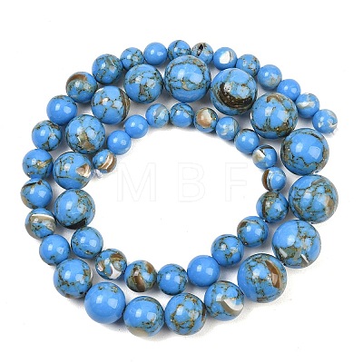 Synthetic Turquoise and Sea Shell Assembled Graduated Beads Strands GG-CBA2AE1-A07-E-1