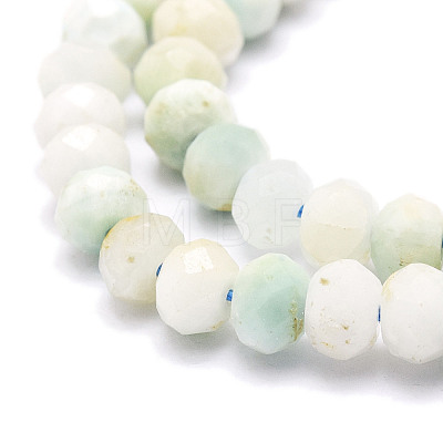 Natural Gemstone Beads  Strands G-E569-I20-1