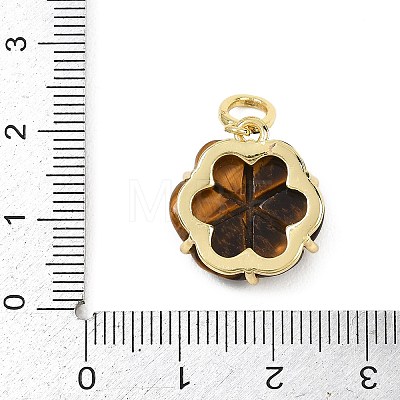 Natural Tiger Eye Carved Pendants G-G330-01G-03-1
