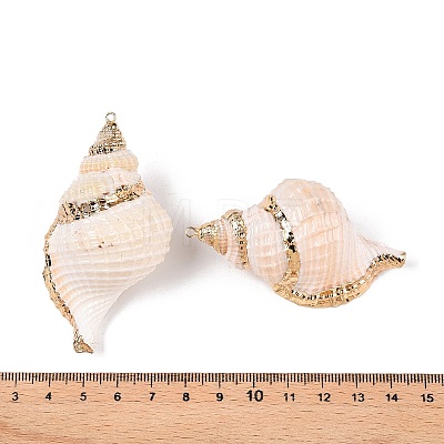 Natural Conch Shell Big Pendants SSHEL-N038-23-1