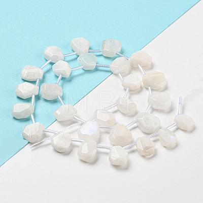 Natural Rainbow Moonstone Beads Strands G-Z040-A06-01-1