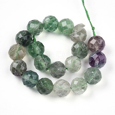 Natural Fluorite Beads Strands G-S345-10mm-31-1