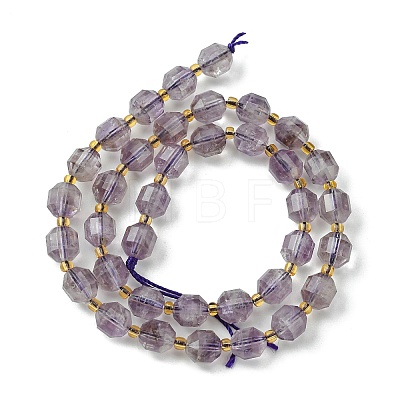 Natural Amethyst Beads Strands G-Z034-F11-01-1