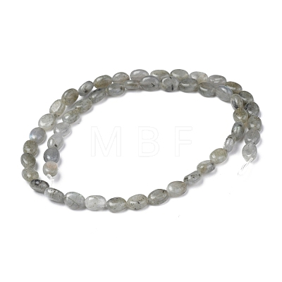 Natural Gray Labradorite Beads Strands G-Z006-A12-1