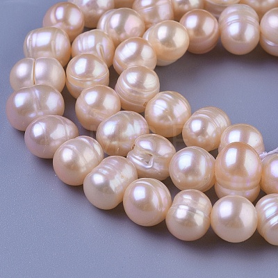 Natural Cultured Freshwater Pearl Beads Strands PEAR-E004-23-01-1