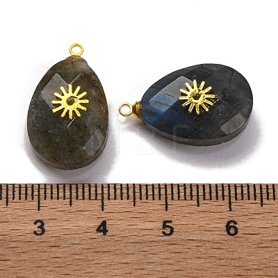 Natural Labradorite Pendants G-B089-01G-04-1