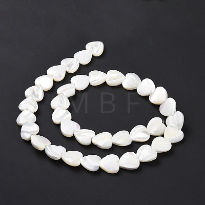 Natural Trochus Shell Beads Strands SSHEL-H070-06D-1