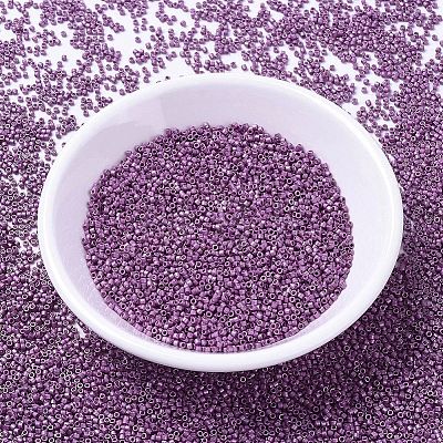MIYUKI Delica Beads SEED-MY11-DB1184-1