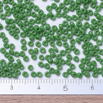 MIYUKI Round Rocailles Beads SEED-G007-RR0411-1