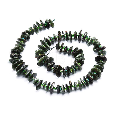 Natural Seraphinite Beads Strands G-E569-K02-1