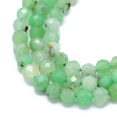 Natural Chrysoprase Beads Strands G-G106-C01-02-1